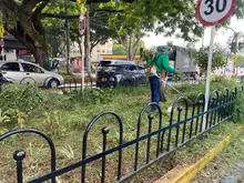 Dagma intensifica labores de ajardinamiento
