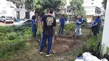 Dagma intensifica labores de ajardinamiento
