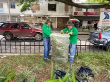 Dagma intensifica labores de ajardinamiento