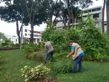 Dagma intensifica labores de ajardinamiento