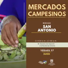 Antes de celebrar este fin de semana, recuerde ir de compras a los ‘Mercados Campesinos’