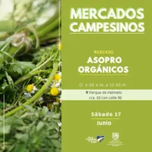 Antes de celebrar este fin de semana, recuerde ir de compras a los ‘Mercados Campesinos’