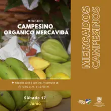 Antes de celebrar este fin de semana, recuerde ir de compras a los ‘Mercados Campesinos’