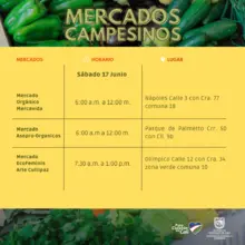 Antes de celebrar este fin de semana, recuerde ir de compras a los ‘Mercados Campesinos’