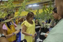 Organismos locales y nacionales participaron en el ‘Café Distrital’ para la prevención del consumo de sustancias psicoactivas