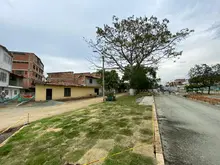 El Bulevar de Oriente crece y dos ceibas más crecerán con él