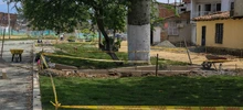 El Bulevar de Oriente crece y dos ceibas más crecerán con él