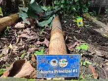 Huerta del Colegio Americano, ejemplo para la soberanía alimentaria