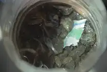 Autoridad sanitaria realiza acciones de prevención y control del dengue