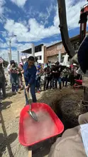 Alcaldía de Cali realizó traslado de árboles al Bulevar de Oriente