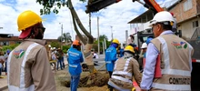 Alcaldía de Cali realizó traslado de árboles al Bulevar de Oriente