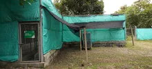 “La fauna silvestre no es para tenerla en casa”: Dagma