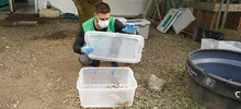 “La fauna silvestre no es para tenerla en casa”: Dagma