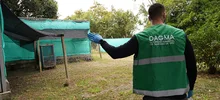 “La fauna silvestre no es para tenerla en casa”: Dagma
