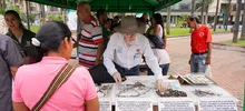 Caleños disfrutaron aprendiendo en la Plaza de Cayzedo