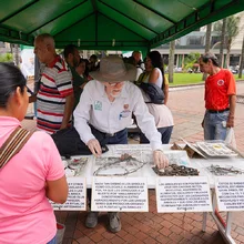 Caleños disfrutaron aprendiendo en la Plaza de Cayzedo