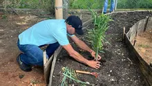 Los recorridos por las huertas urbanas de Cali, no paran