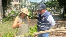 Los recorridos por las huertas urbanas de Cali, no paran