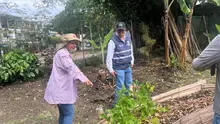 Los recorridos por las huertas urbanas de Cali, no paran