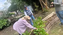 Los recorridos por las huertas urbanas de Cali, no paran