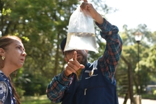 Peces guppies, una alternativa de control biológico contra el dengue