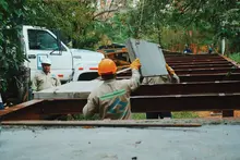 ¡Hábitat Senderos se eleva a nuevos niveles! Conoce el avance de las pasarelas elevadas