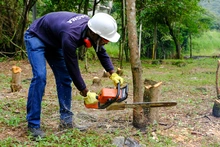 Avanza adecuación de terreno donde se construirá nuevo parque de huertas urbanas