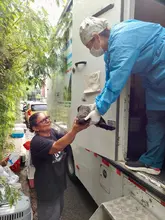Unidad de Protección Animal realiza control a colonias de gatos