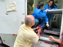 Unidad de Protección Animal realiza control a colonias de gatos