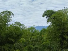‘Corazón de Pance’: puerta de entrada a Los Farallones de Cali