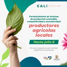 Participa de la convocatoria para fortalecer el ecosistema de Economía Circular de Cali