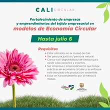 Participa de la convocatoria para fortalecer el ecosistema de Economía Circular de Cali