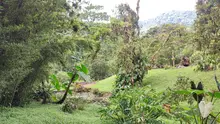Delegación del gobierno de Surinam conoció ‘Corazón de Pance’ y experiencia de Pago por Servicios Ambientales