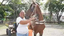 Se cumplió jornada de verificación del estado de equinos utilizados por carretilleros