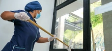 ¿Qué es el moquillo y cómo cuidar a sus animales de compañía?
