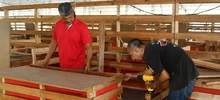 Unidad de Protección Animal apoya feria que beneficiará a más de 4000 seres sintientesq