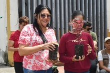 Comuna 7 aprovechó la oferta ambiental   de ‘Dagma al Barrio’