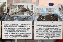 Comuna 7 aprovechó la oferta ambiental   de ‘Dagma al Barrio’