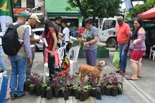 Comuna 7 aprovechó la oferta ambiental   de ‘Dagma al Barrio’