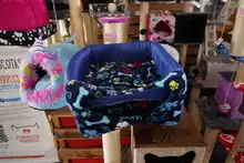 Séptima versión de la Animaltón