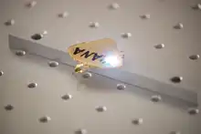 Séptima versión de la Animaltón