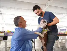 Séptima versión de la Animaltón