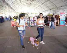 Séptima versión de la Animaltón