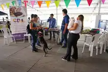 Séptima versión de la Animaltón