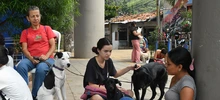 Esterilizar: un acto de amor por los animales de compañía