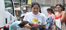 Esterilizar: un acto de amor por los animales de compañía
