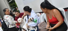 Esterilizar: un acto de amor por los animales de compañía