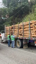 Continúan operativos de vigilancia y control al tráfico y transporte de madera