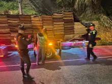 Continúan operativos de vigilancia y control al tráfico y transporte de madera