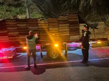Continúan operativos de vigilancia y control al tráfico y transporte de madera